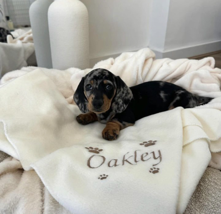 Oakley thumbnail 1